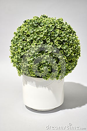 Artificial Potted Plant Stock Photo