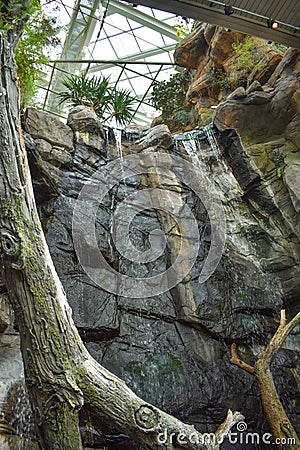 Artificial Rain Forest Waterfall at the Interior of the Entrance of the National Aquarium in Baltimore Editorial Stock Photo