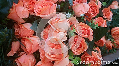 Artificial rose flowers Stock Photo