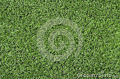 Artificial Turf Stock Photo