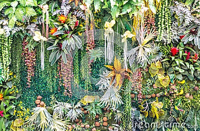 Artificial vertical garden wall. Stock Photo