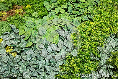 Artificial Vertical Gardens with Fake Plants on Walls. Stock Photo