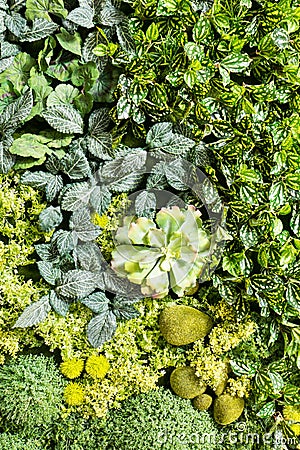 Artificial Vertical Gardens with Fake Plants on Walls. Stock Photo