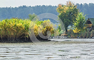 Artificially dried lake for fishing, Autumn, Stock Photo