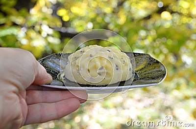 Artisan cheese with seeds in the shape of a flower Stock Photo