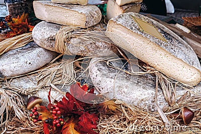 Artisan cheese on the stall in Alba, Italy Stock Photo