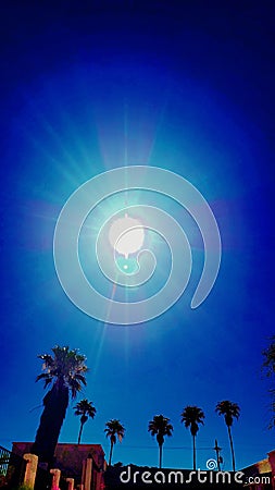Artisan Digital Blue Pinwheel Sunburst Artography Skyscape Palm Trees Scene Nature Photography Stock Photo