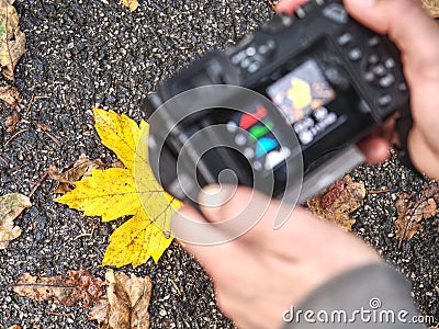 Artist using small mirrorless camera with wide zoom lens Stock Photo