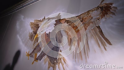 Artista designer desenha uma águia na parede O decorador de artesão pinta um quadro com cor de óleo acrílico olhando para o vídeos de arquivo Artista designer desenha uma águia na parede O decorador de artesão pinta um quadro com cor de óleo acrílico olhando para o vídeos de arquivo