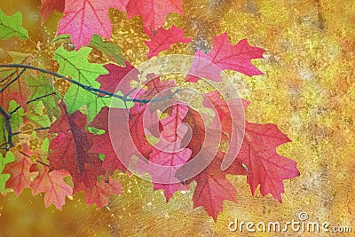 Artistic distressed autumn image Stock Photo