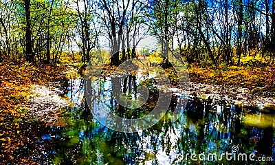 An artistic image of a forest and water landscape Stock Photo