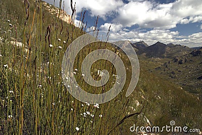 artistic landscape of mountains, clouds and vast views of nature Stock Photo