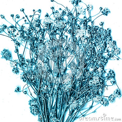 Blue flower love nature hand drawn visit watercolor background, raster illustration Stock Photo