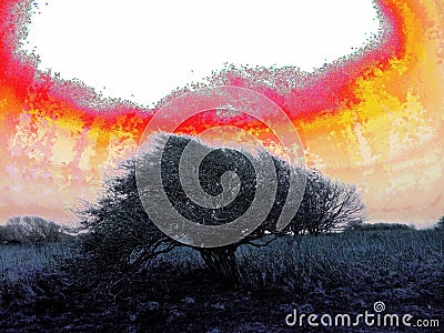 Artistic scary windblown tree - nuclear style Stock Photo