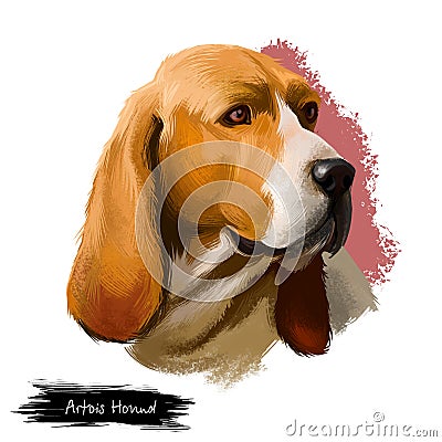 Artois Hound dog digital art illustration isolated on white background. Artois Hound is a rare breed of dog, and a Cartoon Illustration