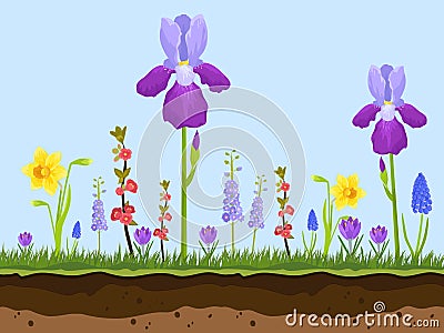 Artoon field flowers, green grass and earth layers on blue background vector illustration. Pink, chamomile and lavender Vector Illustration