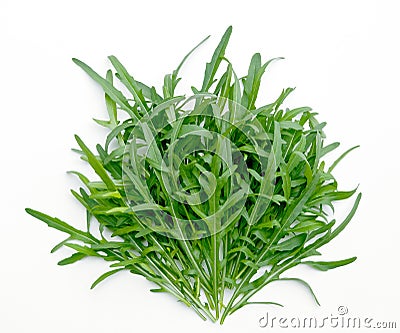 Arugula Stock Photo