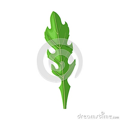 arugula fresh cartoon vector illustration color sign Cartoon Illustration