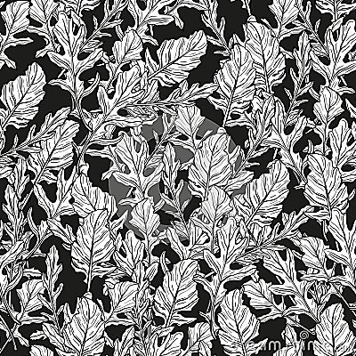 Arugula pattern. Spicy Italian seasoning Vector Illustration