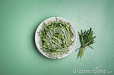 Arugula salad and arugula bundle on green table. Fresh herbs Stock Photo