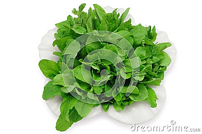 Arugula salad Stock Photo