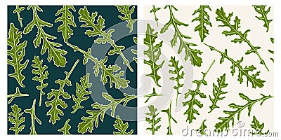 Arugula seamless herbs pattern. Colorful sketch cartoon doodle style Vector Illustration