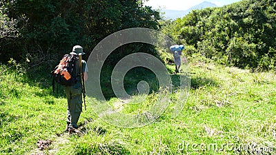 Armed national park ranger and local porters hiking towards the summit of Mount Meru in Arusha National Park in Tanzania Editorial Stock Photo