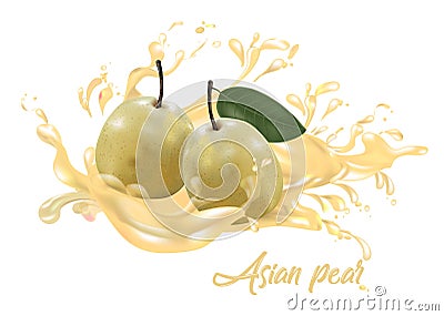 Asain pear in splash,vector illusration Vector Illustration