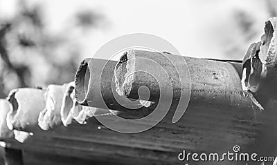 Asbestos cement pipes Stock Photo