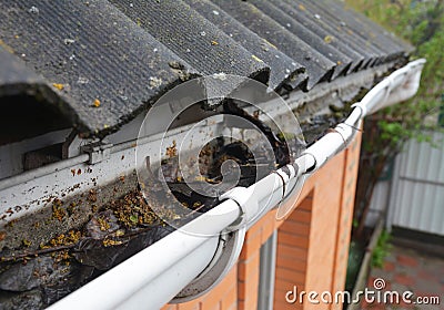 Asbestos house rooftop vinyl rain gutter with fallen leaves and dirt. Gutter cleaning Stock Photo