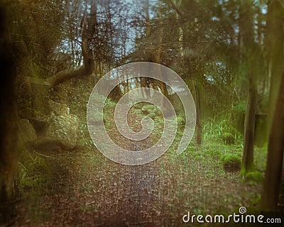 Ascending The Forrest Path Impressionist photograph Stock Photo