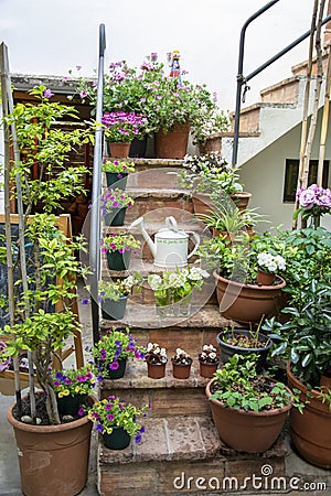 Staircase full of flower pots. Stock Photo