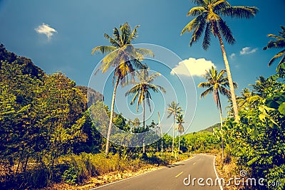 Asfalt road with palm trees Stock Photo