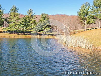 Ashe Park Trout Pond in Jefferson, North Carolina Stock Photo