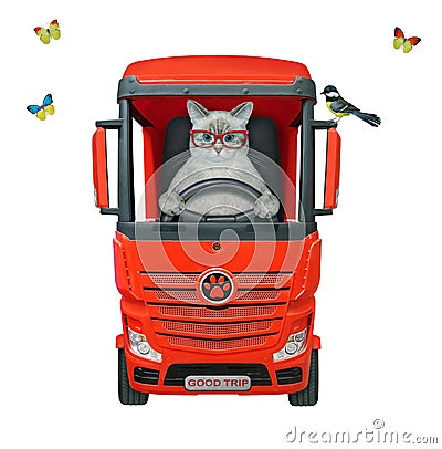 Cat ashen drives big red truck Stock Photo