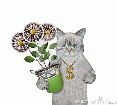 Cat ashen holds money flowers Stock Photo