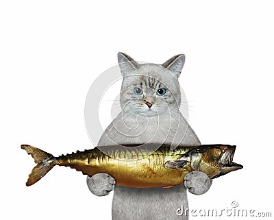 Cat ashen holding large smoked mackerel Stock Photo