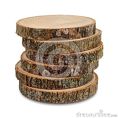 Ashen tree cross sections, isolated. Copy space for text. Tree trunks close-up. Stock Photo