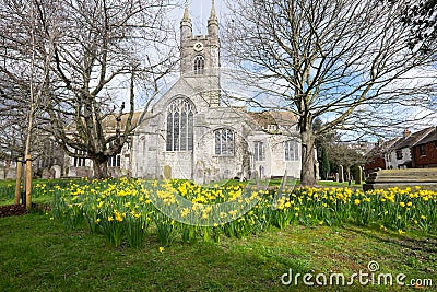 Ashford, Kent, United Kingdom - March 9, 2020: St Mary the Virgin church in town centre in Spring with daffodils Editorial Stock Photo