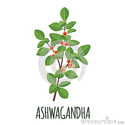 Ashwagandha icon in flat style on white background Vector Illustration