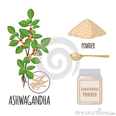 Ashwagandha set with powder and roots in flat style isolated on white. Vector Illustration