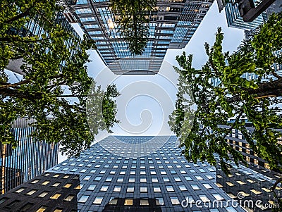 Asia Business concept for real estate and corporate construction . looking up view of modern city skyline with trees Stock Photo