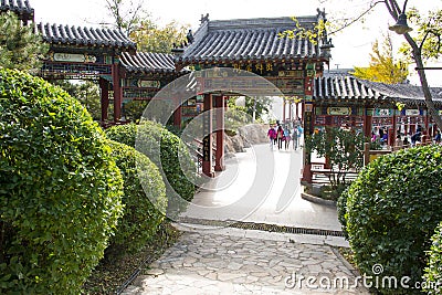 Asia China, Beijing, the north house, Forest Park, Porch, pavilion, spherical plants Editorial Stock Photo
