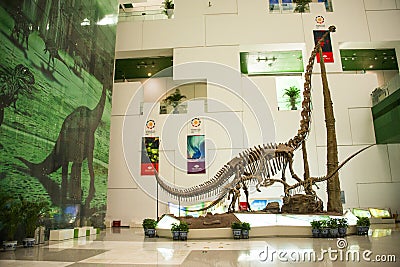 Asia China, Beijing, science and technology museum, dinosaur skeletons Editorial Stock Photo