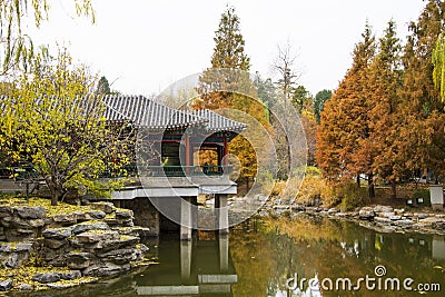 Asia China, Beijing, Zhongshan Park, autumn scenery Editorial Stock Photo