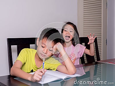 Asia little sister ridicule her brother studying and doing his h Stock Photo