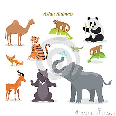 Asian Animals Fauna Species. Camel, Panda, Tiger, Vector Illustration