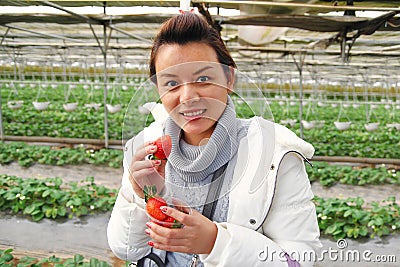 Asian beautiful tourist woman wearing overcoat in strawberry greenhouse Stock Photo