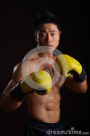 Asian boxer in his attacking stance Stock Photo
