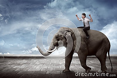 Asian business man riding elephant Stock Photo